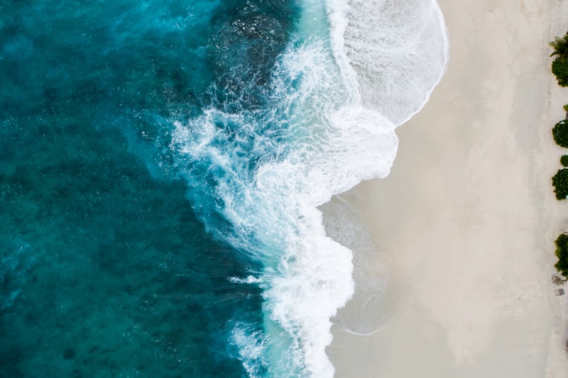 collagene ocean